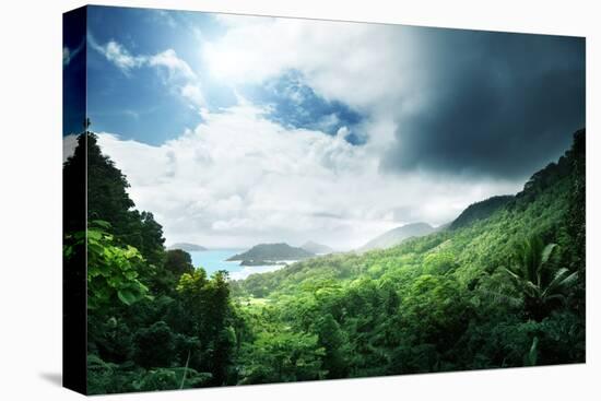 Jungle of Seychelles Island-Iakov Kalinin-Premier Image Canvas
