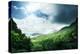 Jungle of Seychelles Island-Iakov Kalinin-Premier Image Canvas