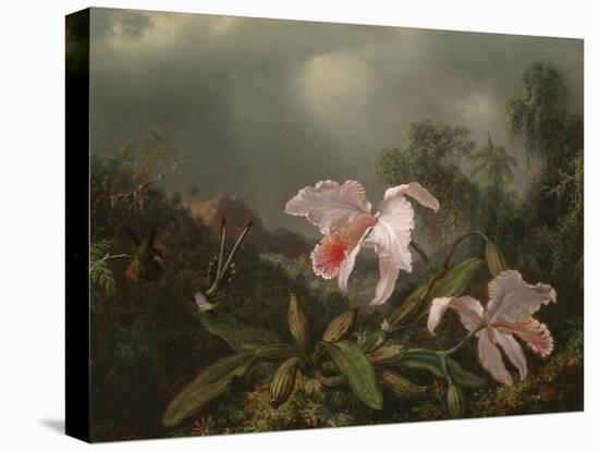 Jungle Orchids and Hummingbirds, 1872-Martin Johnson Heade-Premier Image Canvas