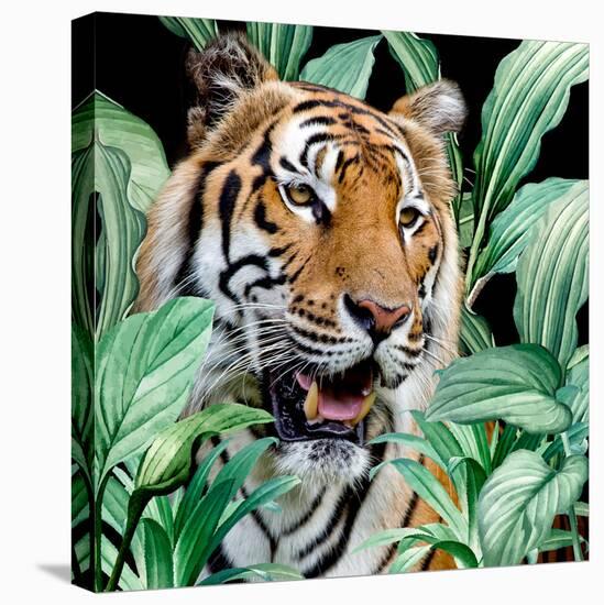 Jungle Tiger-Kimberly Allen-Stretched Canvas