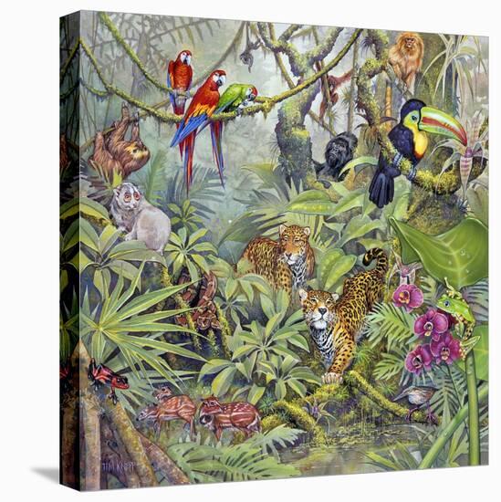 Jungle-Tim Knepp-Premier Image Canvas