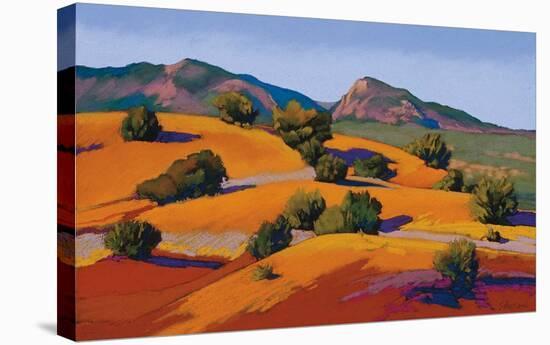 Juniper Hills-Mary Silverwood-Stretched Canvas