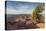 Juniper Tree, Dead Horse Point State Park-Howie Garber-Premier Image Canvas