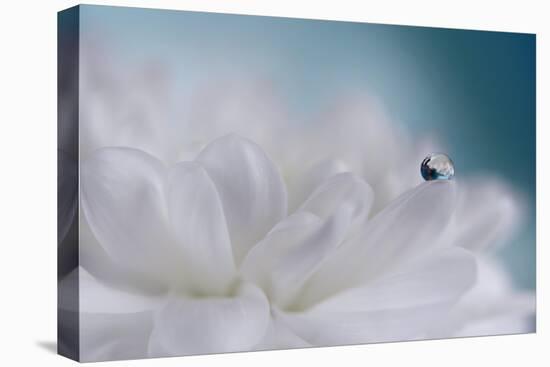 Just a drop-Heidi Westum-Premier Image Canvas