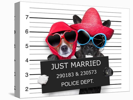 Just Married Mugshot-Javier Brosch-Premier Image Canvas