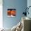 Just Peachy-Terri Hill-Premier Image Canvas displayed on a wall