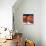 Just Peachy-Terri Hill-Premier Image Canvas displayed on a wall