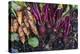 Just Pulled Carrots And Beets Out Of The Garden-Justin Bailie-Premier Image Canvas