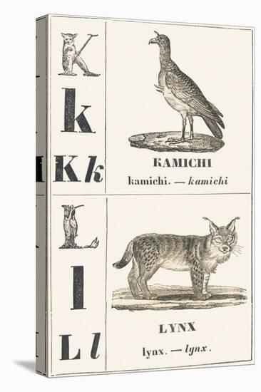 K L: Kamichi — Lynx, 1850 (Engraving)-Louis Simon (1810-1870) Lassalle-Premier Image Canvas