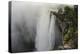 Kaieteur Falls, Located on the Potaro River in the Kaieteur National Park. Guyana-Pete Oxford-Premier Image Canvas