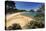 Kaiteriteri Beach, Kaiteriteri, Nelson Region, South Island, New Zealand, Pacific-Stuart Black-Premier Image Canvas
