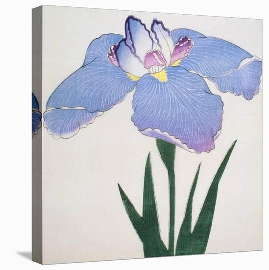 Kaku Jaku Ro Book of a Blue Iris-Stapleton Collection-Premier Image Canvas