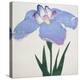 Kaku Jaku Ro Book of a Blue Iris-Stapleton Collection-Premier Image Canvas