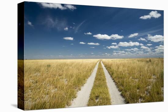 Kalahari Desert Track, Magadikgadi Pans National Park, Botswana-Paul Souders-Premier Image Canvas