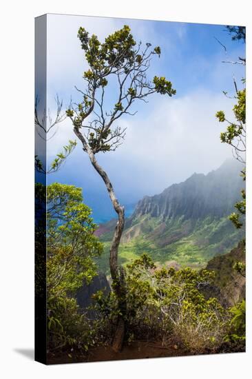 Kalalau Lookout over the Napali Coast from the Kokee State Park-Michael Runkel-Premier Image Canvas