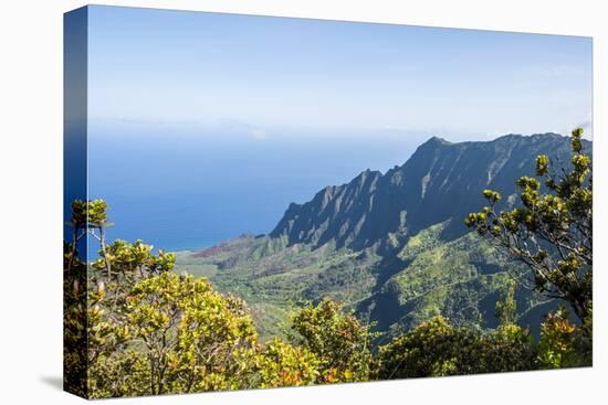 Kalalau Valley, Napali Coast State Park Kauai, Hawaii, United States of America, Pacific-Michael DeFreitas-Premier Image Canvas