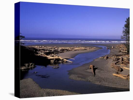 Kalaloch Beach and Creek, Olympic National Park, Washington, USA-Jamie & Judy Wild-Premier Image Canvas