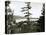Kalama View, Circa 1910-null-Premier Image Canvas