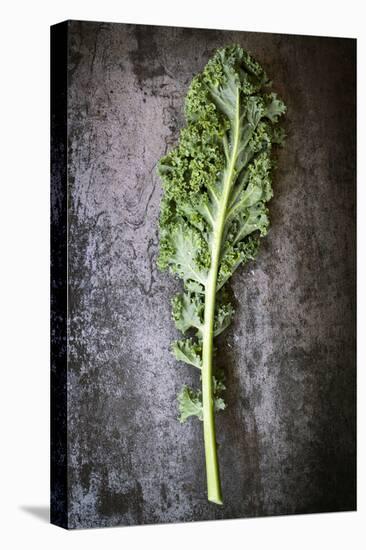 Kale Leaf, Overhead View on Dark Slate-Robyn Mackenzie-Premier Image Canvas