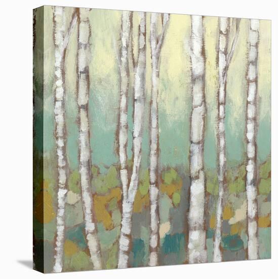 Kaleidoscope Birches I-Jennifer Goldberger-Stretched Canvas