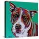 Kaleidoscope Dog I-Carolee Vitaletti-Stretched Canvas