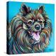 Kaleidoscope Dog III-Carolee Vitaletti-Stretched Canvas