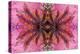 Kaleidoscopic image of crinoid or feather star on gorgonian-Georgette Douwma-Premier Image Canvas