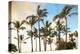 Kaloko-Honokohau Beach Park near Kona, Big Island, Hawaii, USA-Stuart Westmorland-Premier Image Canvas