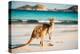 Kangaroo at Lucky Bay in the Cape Le Grand National Park near Esperance, Western Australia-John Crux-Premier Image Canvas