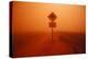 Kangaroo Crossing Sign in Dust Storm in the Australian Outback-Paul Souders-Premier Image Canvas