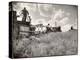 Kansas Farmer Driving Farmall Tractor as He Pulls a Manned Combine During Wheat Harvest-Margaret Bourke-White-Premier Image Canvas