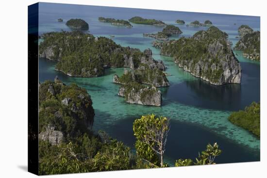 Karst islands in Misool archipelago, Raja Ampat, Western Papua, Indonesian New Guinea-Staffan Widstrand-Premier Image Canvas