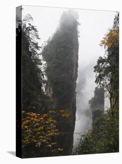 Karst Limestone Rock Formations at Zhangjiajie Forest Park, Wulingyuan Scenic Area, Hunan Province-Christian Kober-Premier Image Canvas