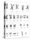 Karyotype of Chromosomes In Down's Syndrome-L. Willatt-Premier Image Canvas