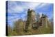 Kasselburg Castle near Pelm, Eifel, Rhineland-Palatinate, Germany, Europe-Hans-Peter Merten-Premier Image Canvas