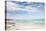 Kassiesbaai Beach, Arniston, Western Cape, South Africa, Africa-Neil Overy-Premier Image Canvas