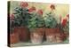 Kathleens Geraniums Crop-Carol Rowan-Stretched Canvas