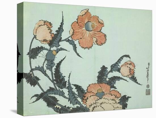 Katsushika Hokusai Floral I-Katsushika Hokusai-Stretched Canvas