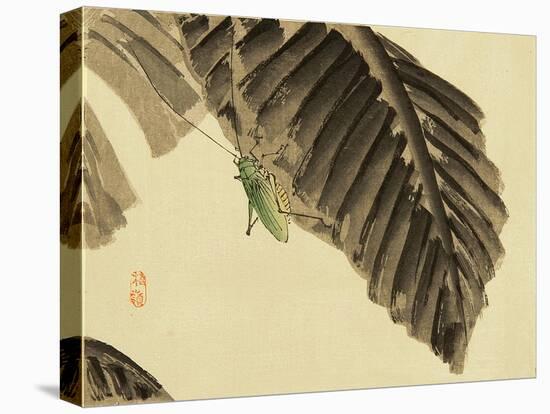 Katydid on Banana Leaf-Bairei Kono-Premier Image Canvas