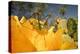 Katydid on Prickly pear flower, Texas, USA-Karine Aigner-Premier Image Canvas