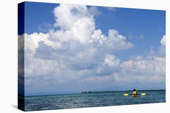 Kayaking around Barrier Reef, Southwater Cay, Belize-Cindy Miller Hopkins-Premier Image Canvas