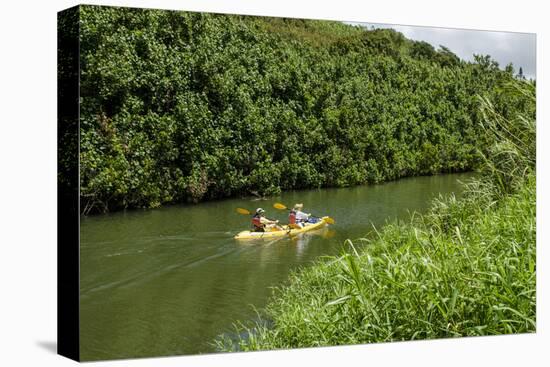 Kayaking on the Wailua River, Kauai, Hawaii, United States of America, Pacific-Michael DeFreitas-Premier Image Canvas