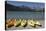 Kayaks - June Lake- Mono County, California-Carol Highsmith-Stretched Canvas