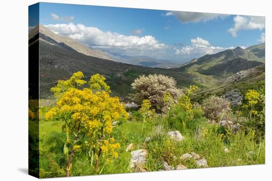 Kedros Massif, Crete, Greek Islands, Greece, Europe-Markus Lange-Premier Image Canvas