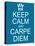 Keep Calm and Carpe Diem-mybaitshop-Stretched Canvas