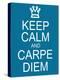 Keep Calm and Carpe Diem-mybaitshop-Stretched Canvas