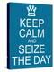 Keep Calm and Seize the Day-mybaitshop-Stretched Canvas