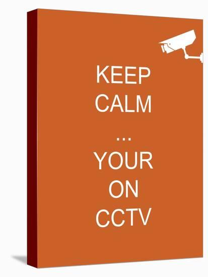 Keep Calm Your're on CCTV-Whoartnow-Premier Image Canvas