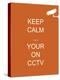 Keep Calm Your're on CCTV-Whoartnow-Premier Image Canvas
