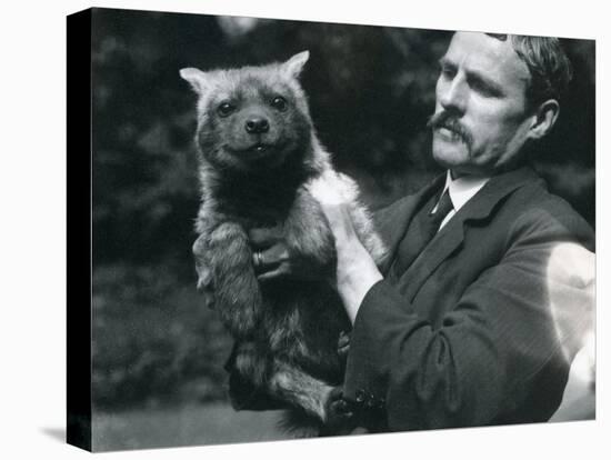 Keeper Charles Dixon Holding Up a Baby Hyaena at London Zoo, 1919-Frederick William Bond-Premier Image Canvas